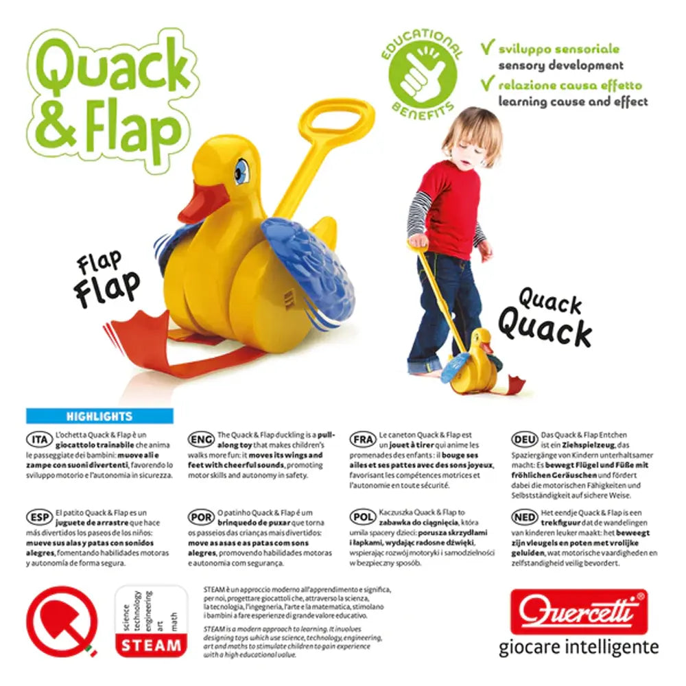 Quercetti Mon canard à promener - 12M+