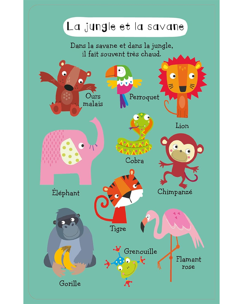 Mon premier cherche et trouve sonore - Animaux