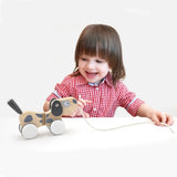 Viga Toys Chien à Tirer en Bois – 18M+