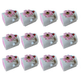 Paquete de 12 cajas de dulces Ladybug - Rosa