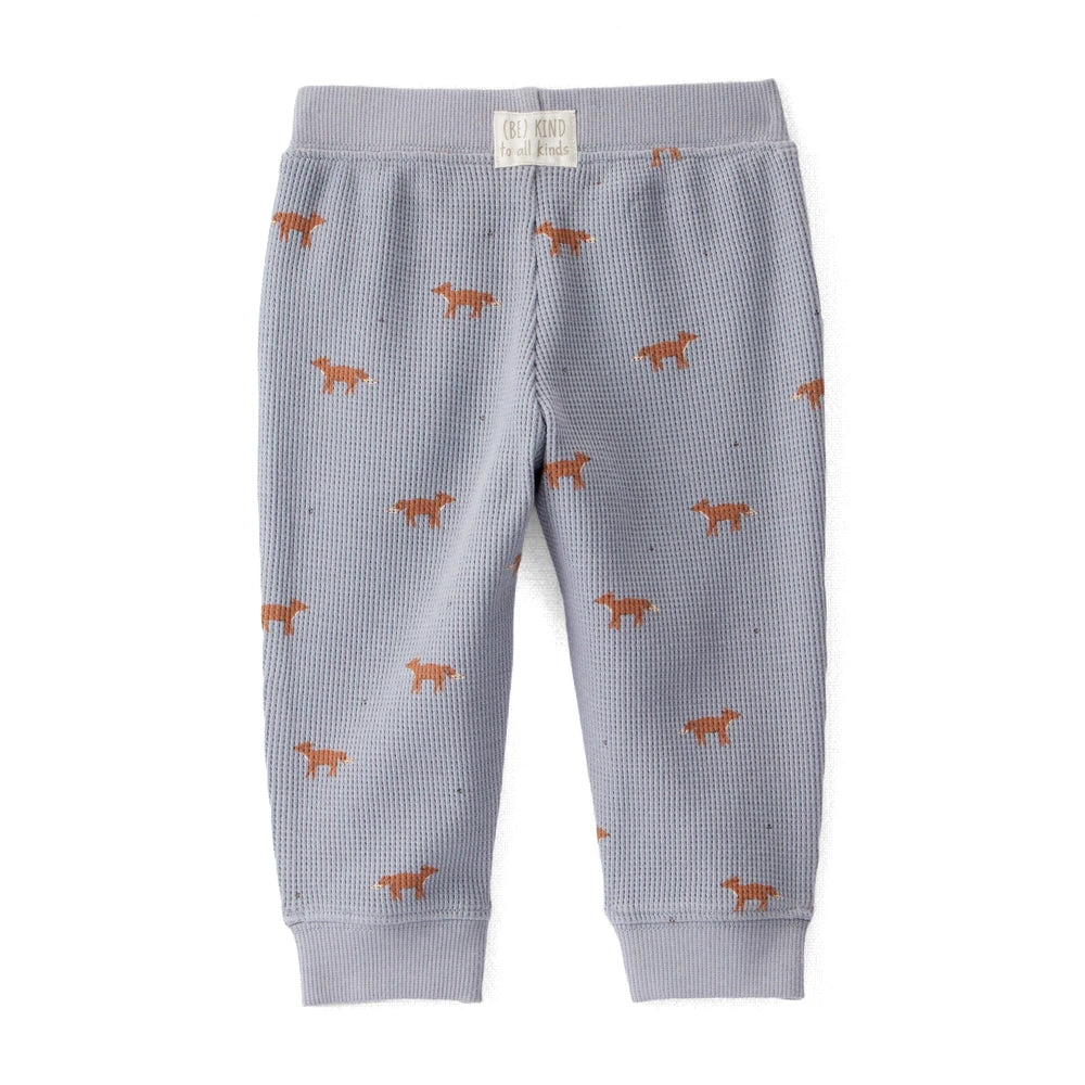 Ensemble 2 Pièces en Tricot Gaufré Coton Bio Renard Bébé Little Planet - Multi