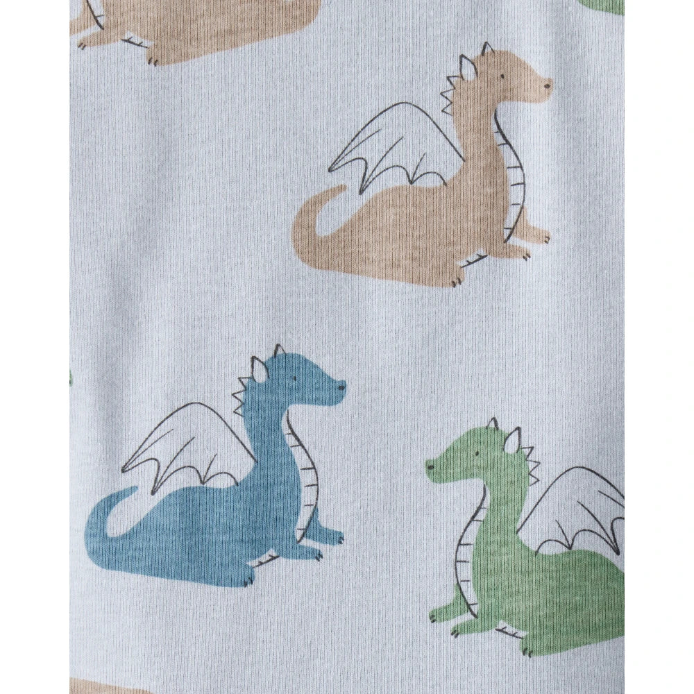 Lot de 4 Bodies à Manches Longues Dragons & Rayures Bébé Garçon Carter's - Bleu Blanc & Vert
