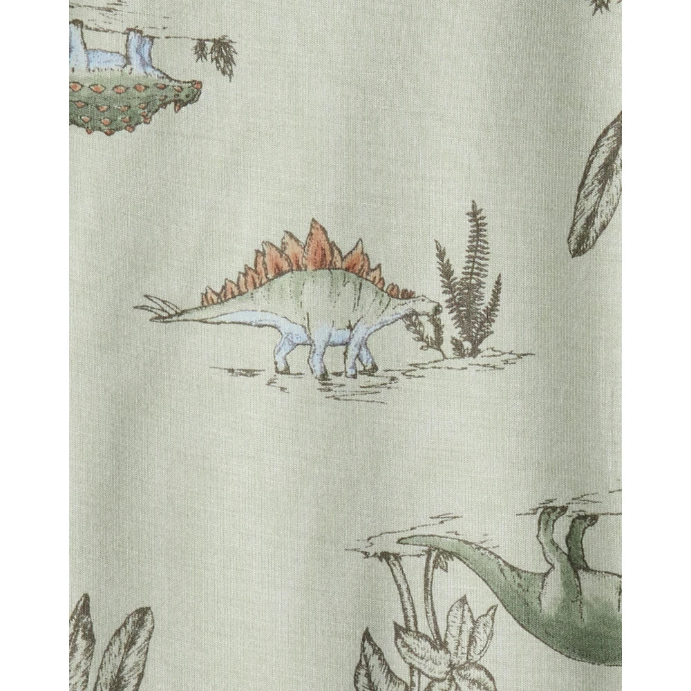 Lot de 2 Bodies à Manches Longues PurelySoft Dinosaures Bébé Garçon Carter's - Vert