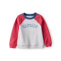 Sweat Raglan Captain Garçon Carter's - Gris