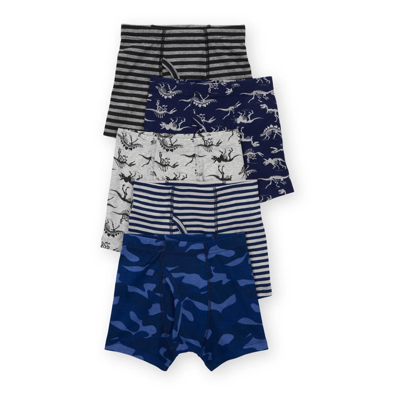 Lot de 5 Boxers Dinosaures & Rayures Garçon Carter's - Marine & Gris