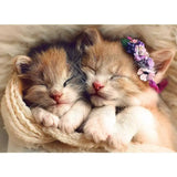 Trefl Puzzle Chatons Endormis 500 Pièces - 10A+