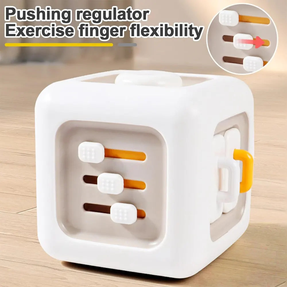Cube de Motricité Éducatif Montessori  6en1  - 12M+