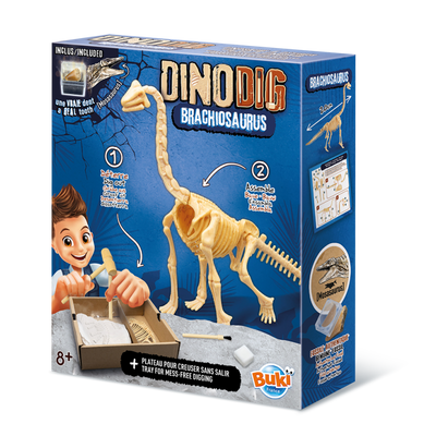 Dinos & Archéologie>>