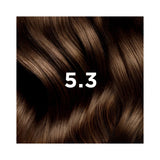 Phyto PhytoColor 5.3 Châtain Clair Doré – nuance sur mèche de cheveux