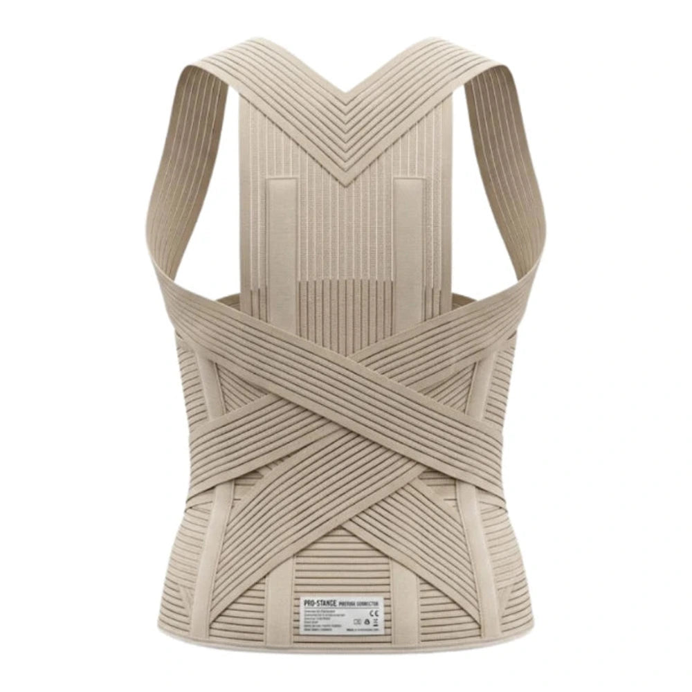 Point Corset Dorso-Lombaire Avec Ceinture Standard Reference 272