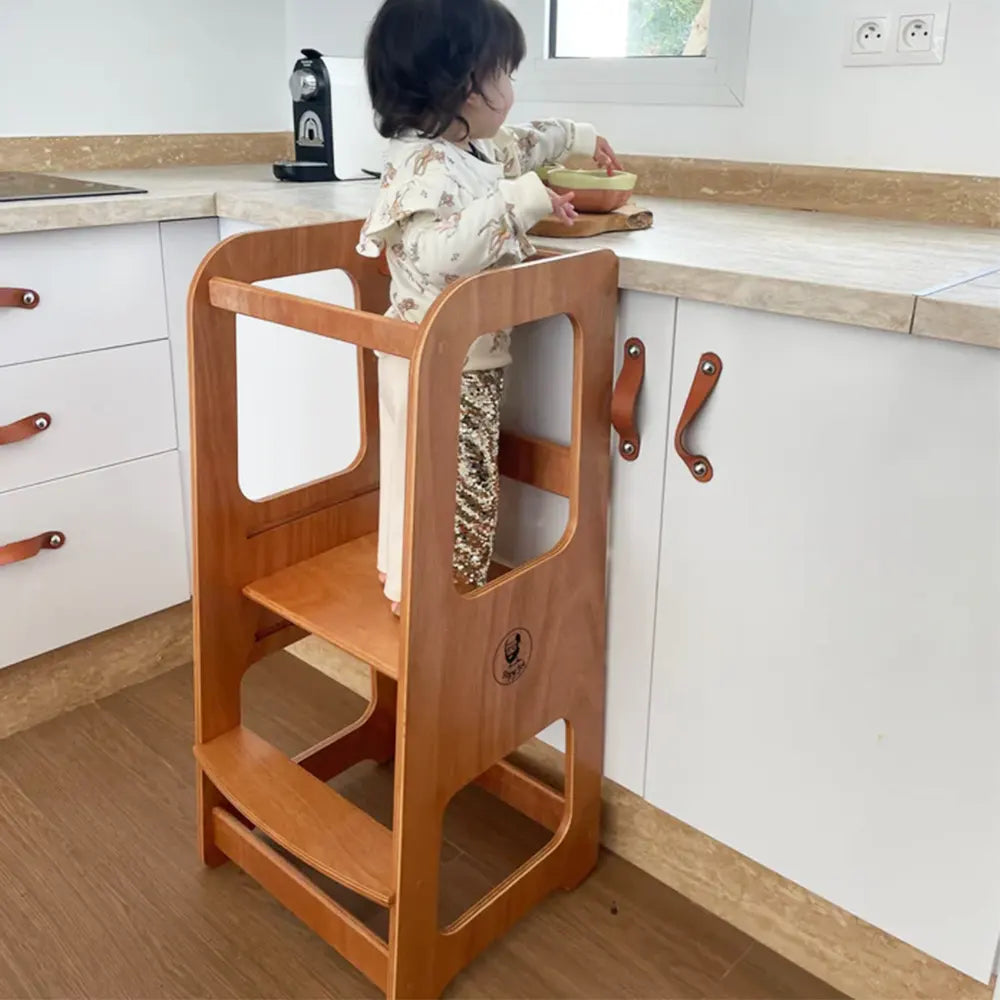 PapyJoe Tour d'Observation Evolutive
