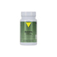 Vit'All+ Bacopa Monnieri 250 mg 60 gélules – photo du complément alimentaire