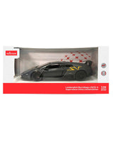 TeamRS DC 1/24 Murcielago