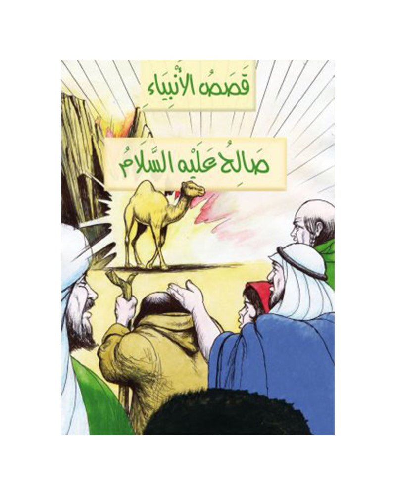 Histoires des Prophètes en Arabe (Collection de 21 histoires)