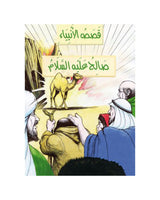 Histoires des Prophètes en Arabe (Collection de 21 histoires)