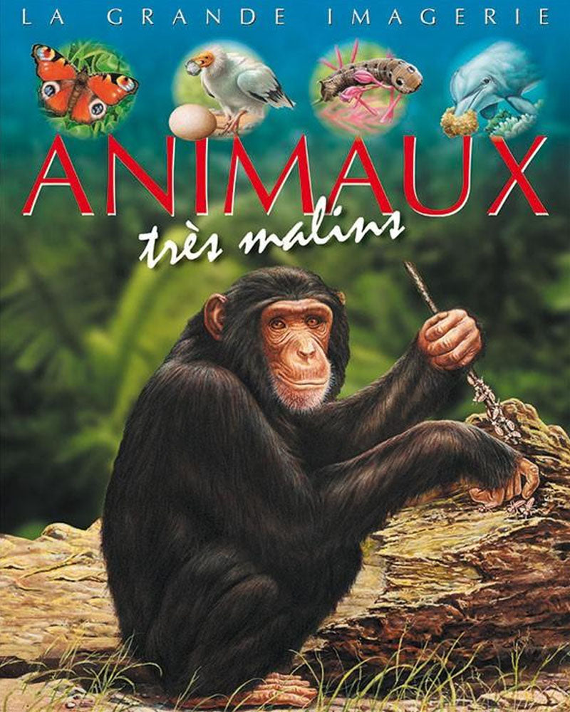 La grande imagerie - Animaux très malins
