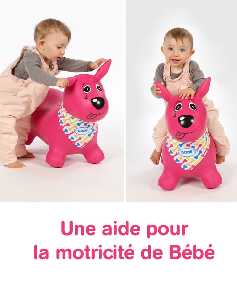 Ludi - Mon Chien Sauteur Rose