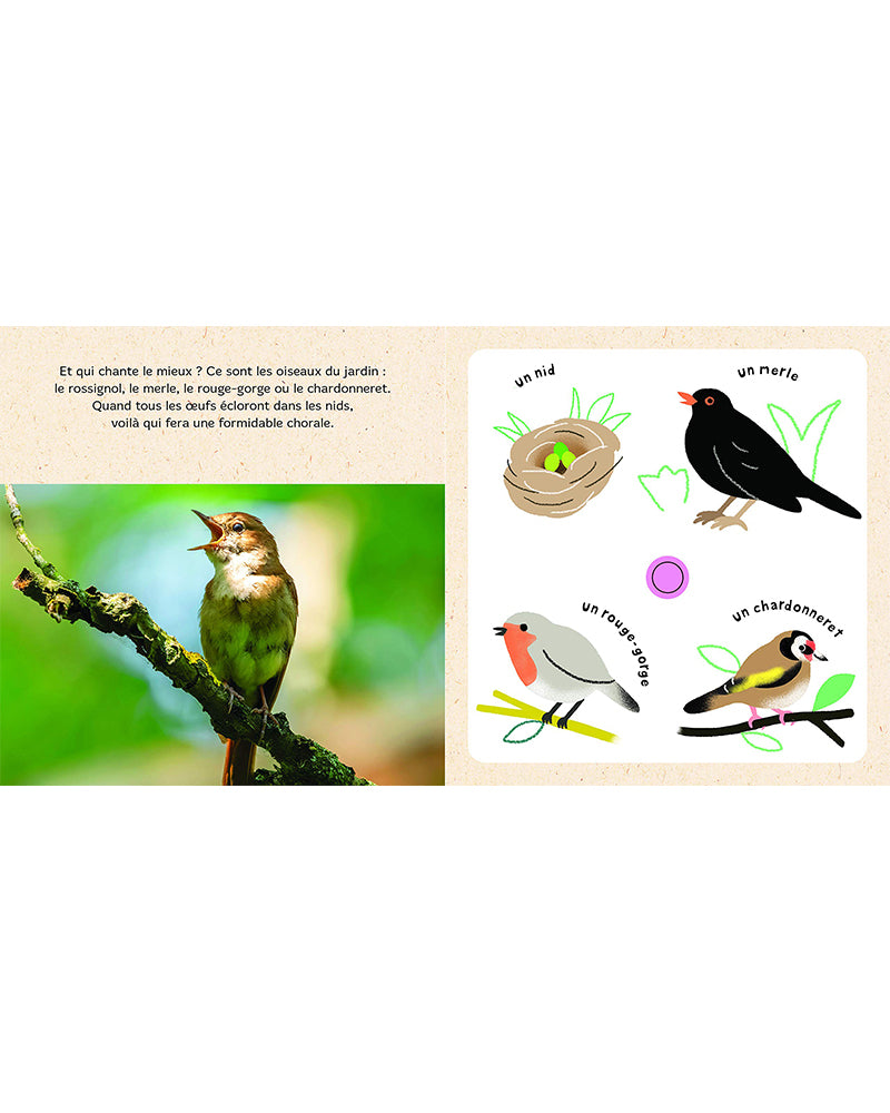 Mis animales bebés en el cielo - Libro sonoro de National Geographic
