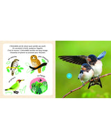 Mis animales bebés en el cielo - Libro sonoro de National Geographic