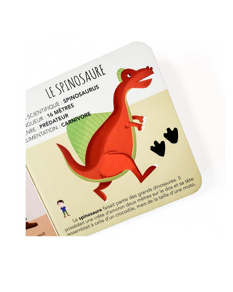 Édu-cubes - Les Dinosaures 24M+